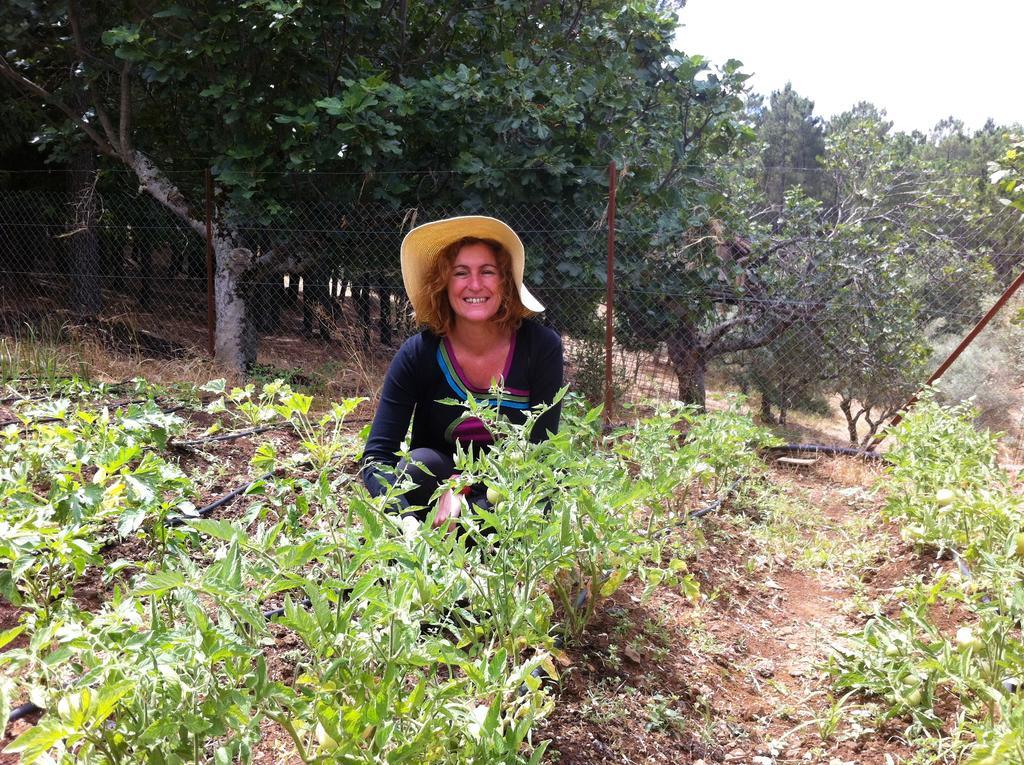 モネステリオ Casa Rural Sierra De Aguafria. Finca El Robledilloゲストハウス エクステリア 写真